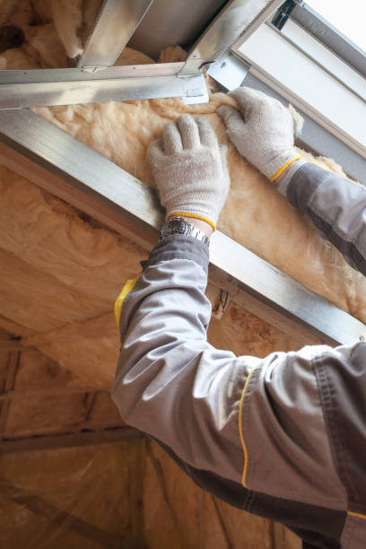 Best Specialized Insulation Services in Irvington, KY