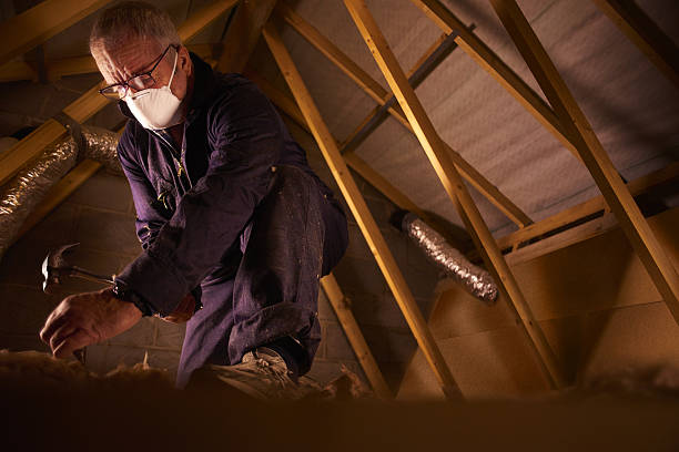 Types of Insulation We Offer in Irvington, KY