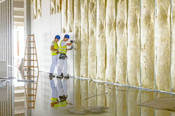 Best Residential Insulation in Irvington, KY